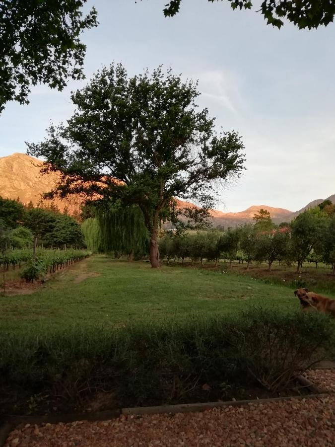 Cabernet Cottage Be Still And Know Franschhoek Exterior photo
